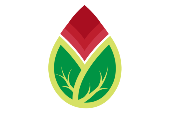 Bloom Illustration Design