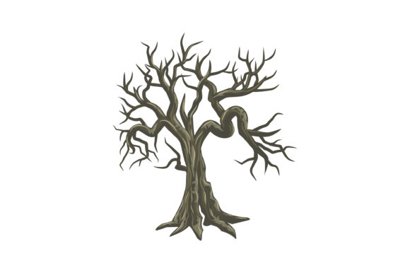 Explore the Ancient Drought Tree