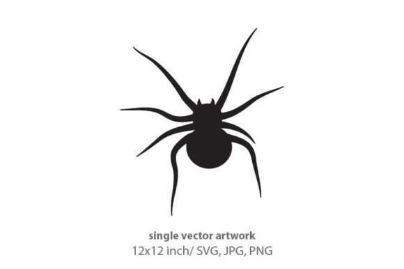 Spider Isolated on White: A Versatile Digital Art Asset